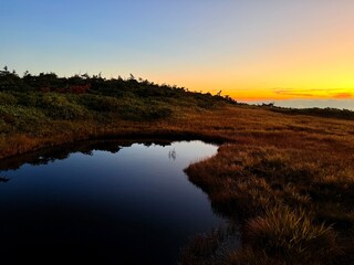 Scenic Autumn Wetlands and Wooden Boardwalk at Naeba Mountain, Echigo Yuzawa, Niigata, Japan with Pond Reflections and Fall Colors