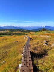 Scenic Autumn Wetlands and Wooden Boardwalk at Naeba Mountain, Echigo Yuzawa, Niigata, Japan with Pond Reflections and Fall Colors