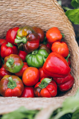 sweet red pepper in a basket