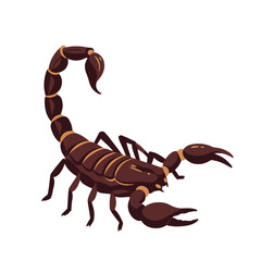 Isolated scorpion with segmented tail and large pincers, brown color