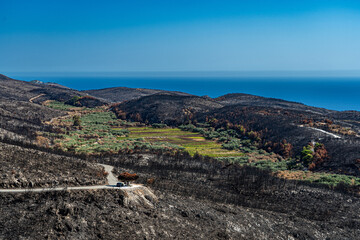 Waldbrand Agalas Zakynthos - Weinberge und Olivenbäume wurden gerettet