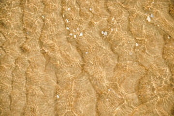 Textured golden sand with distinct water ripples and sunlight reflections. Small shells add detail. The image creates a natural, summery pattern suitable for backgrounds and banners, copy space