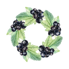 Wreath of Blackberry, leaves and branches. Garden plant black currant template. Hand drawn watercolor botanical illustration. Frame of cassis fruit for food and cosmetics packaging, cards