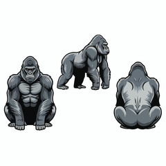 Powerful Gorilla Front Side Back View Isolated Vector Illustration Set © Nur