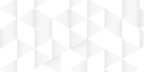 Abstract geometry triangle pattern white and gray background.vector