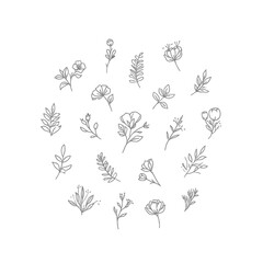 Collection of minimalist floral elements delicate line art vector illustrations for wedding invitations greeting cards and botanical designs isolated on white