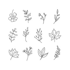 Set of hand-drawn botanical illustrations minimalist line art of flowers and leaves isolated vector elements for design