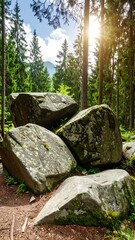 Forest scene with large rocks