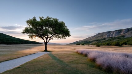 Solitary tree on a vast field, bathed in the soft light of dawn creating a serene and peaceful