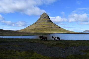 Kirkjufell (islandese: Montagna della chiesa) &egrave; una montagna alta 463 metri situata sulla costa nord della dell'Islanda, nella penisola di Sn&aelig;fellsnes