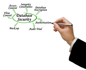  Seven Approaches to Database Security