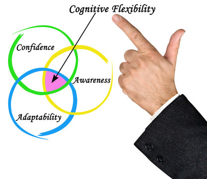 Cognitive  Flexibility