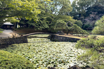 都心散歩　小石川後楽園　彼岸花の頃