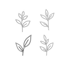 Obraz premium Green Tea Leaves Vector Illustration. Minimal Tea Leaf Botanical Design. Tea Sprout Leaves Outline Vector. Fresh Herbal Tea Leaves Collection. Green Tea Leaf . green leaves vector pattern background 