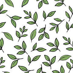 Green Tea Leaves Vector Illustration. Minimal Tea Leaf Botanical Design. Tea Sprout Leaves Outline Vector. Fresh Herbal Tea Leaves Collection. Green Tea Leaf . green leaves vector pattern background 