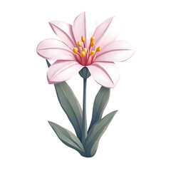 Fototapeta premium Pink Flower Blooming with Green Leaves on Transparent Background