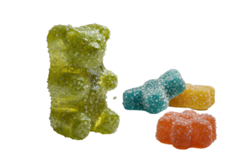 Bitten, stretching gummy bear, translucent interior, sugar crystals, other gummies on transparent background, studio lighting, still life candy study