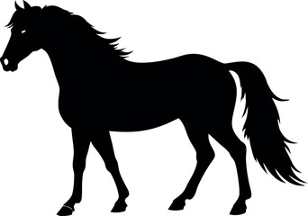 Morgan horse silhouette vector, Animal black design, Farm illustration