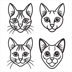 Fototapeta premium An Elegant and Svelte Balinese Cat, a Silky Coat Longhair Siamese Like Breed with Striking Blue Eyes and a Vocal Temperament, a Graceful Feline Companion