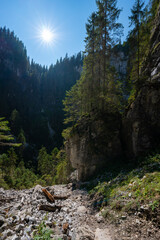 Cetatile Ponorului karst landscape