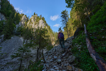 Hiker woman climbing mountain trail