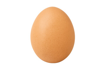 Brown chicken egg providing protein and nutrition