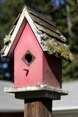 Nature's Roofing Operation