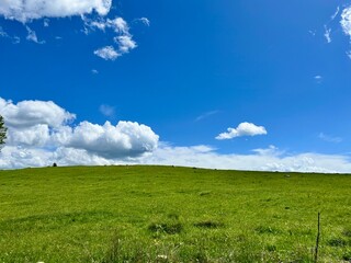 green field and blue sky
