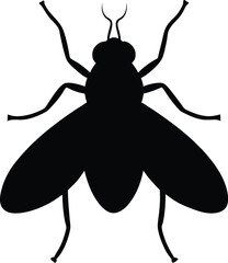 Silhouette of a Fly Insect Pest Isolated on White Background