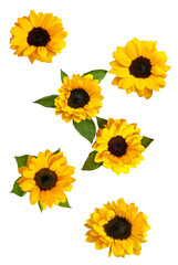 Fototapeta premium vibrant orange pumpkin with two fresh slices