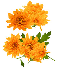 fresh ripe strawberries with vibrant green leaves