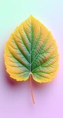 Vibrant leaf against gradient background nature and botanical illustration