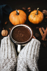 Female hands in sweater holding mug of hot chocolate, pumpkins and spices on rustic wooden background, cozy autumn scene