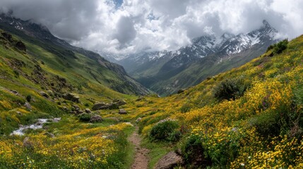 A breathtaking view of colorful wildflowers in a lush valley surrounded by majestic mountains under a cloudy sky.