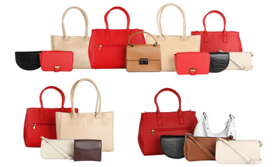 extensive and stylish arrangement of women's handbags and accessories