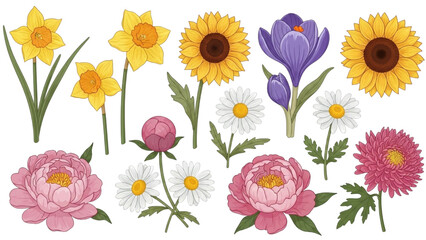 Spring Flowers Set – Floral Vector Illustration Collection AI EPS PNG JPEG