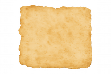 Old paper parchment texture with torn edges on transparent background, aged vintage scroll concept