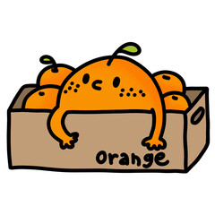 illustration of a box of oranges cartoon