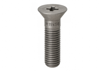Metal phillips head screw with m19x56 label