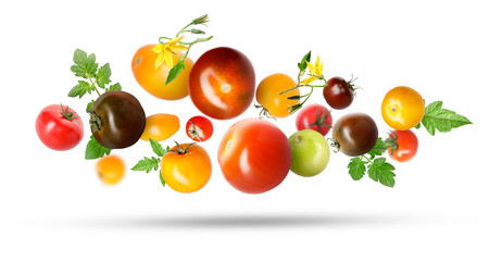 Different fresh tomatoes and green leaves falling against white background