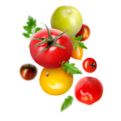 Different fresh tomatoes and green leaves falling against white background