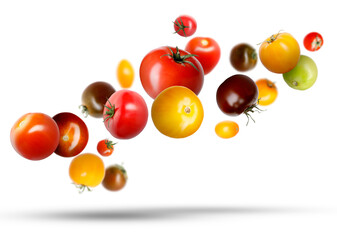 Different fresh tomatoes falling against white background