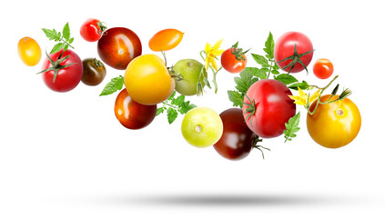 Different fresh tomatoes and green leaves falling against white background