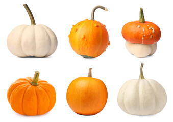Fresh pumpkins isolated on white, set. Autumn vegetable