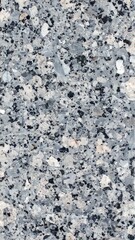 Gray speckled stone texture (1)