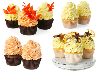 Yummy fall cupcakes isolated on white, set