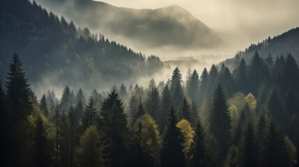 misty forest,dense pine trees,mountainous landscape,overcast sky,dramatic lighting,moody atmosphere,hazy background,lush foliage,scenic nature,tranquil sceneryforest, misty mountain landscape, dense 
