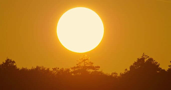 Huge sun setting over trees, forest sunset time lapse, telephoto long lens 4K nightfall