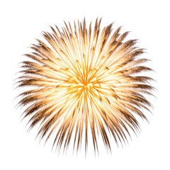Fototapeta premium Golden Fireworks Burst Isolated on Black Background for Celebration and Pyrotechnic Display