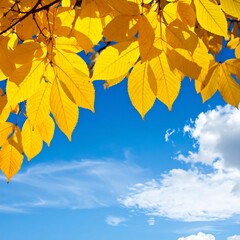 Bright yellow autumn leaves against a vibrant blue sky with fluffy clouds